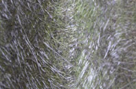 Hummersknott fibreglass roof work